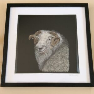 Wool Painting Herdwick Ram